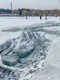 震驚我了南湖公園沉睡了一條龍