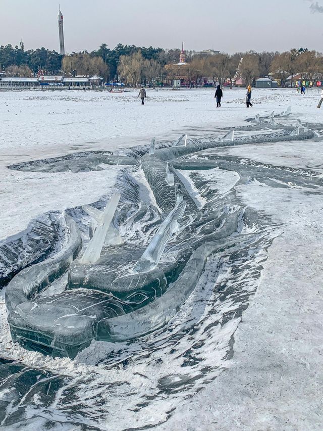 震驚我了南湖公園沉睡了一條龍