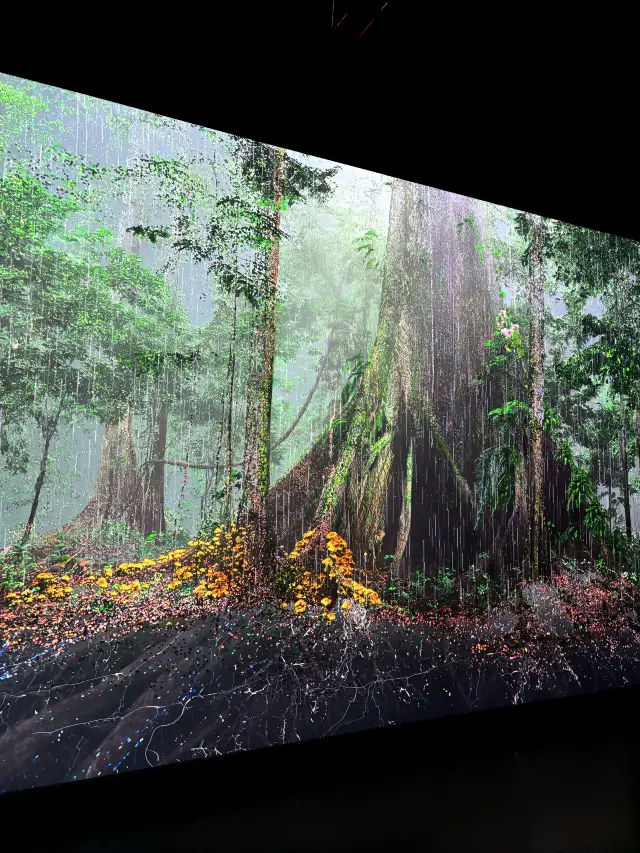 迪拜|被國家地理評為全球最美的博物館有多絕