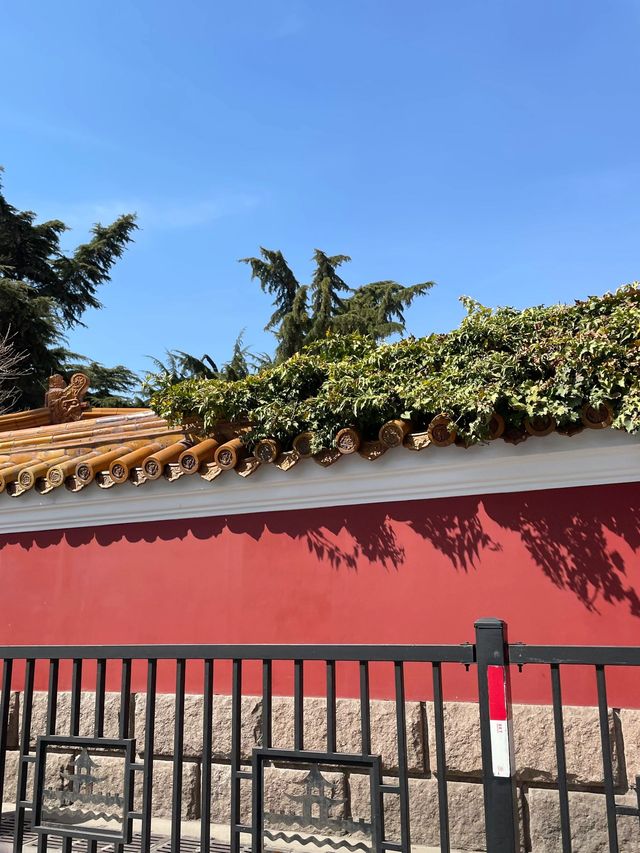 威海-青島-煙台親子遊超詳細攻略來啦必收藏