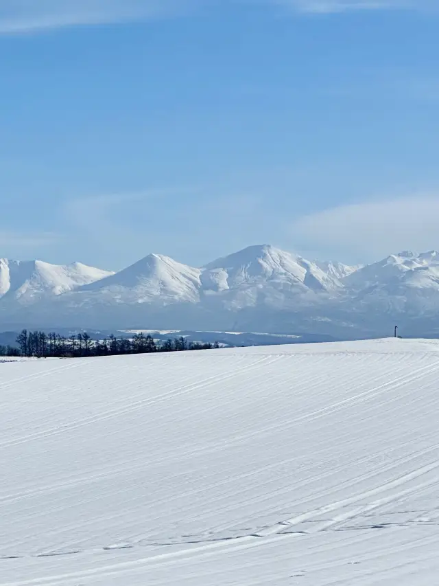 일본 7일 여행 온천욕과 함께 즐기는 최고의 여행