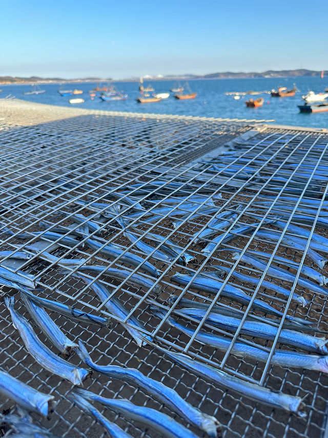 適合談戀愛的大連小島