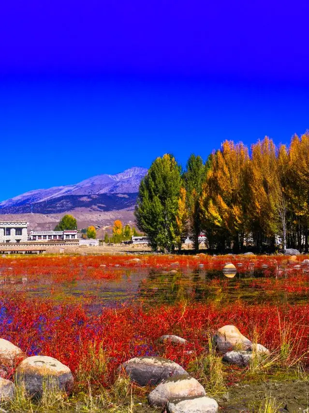 7-Day Chengdu-Daofu-Kangding Travel Guide