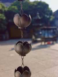 【阿育王寺】探秘寧波的佛教聖地，感受千年古剎的魅力！