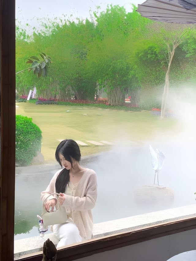 去過武夷山N次總結出來的經驗！