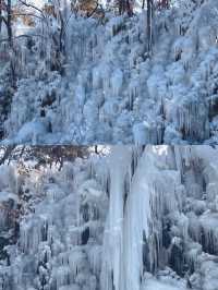 濟南周邊遊冬日龜蒙冰雪盛宴