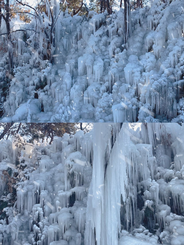 濟南周邊遊冬日龜蒙冰雪盛宴