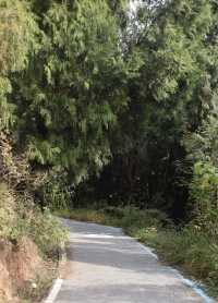 我推薦成都這條絕美的山頂觀景步道