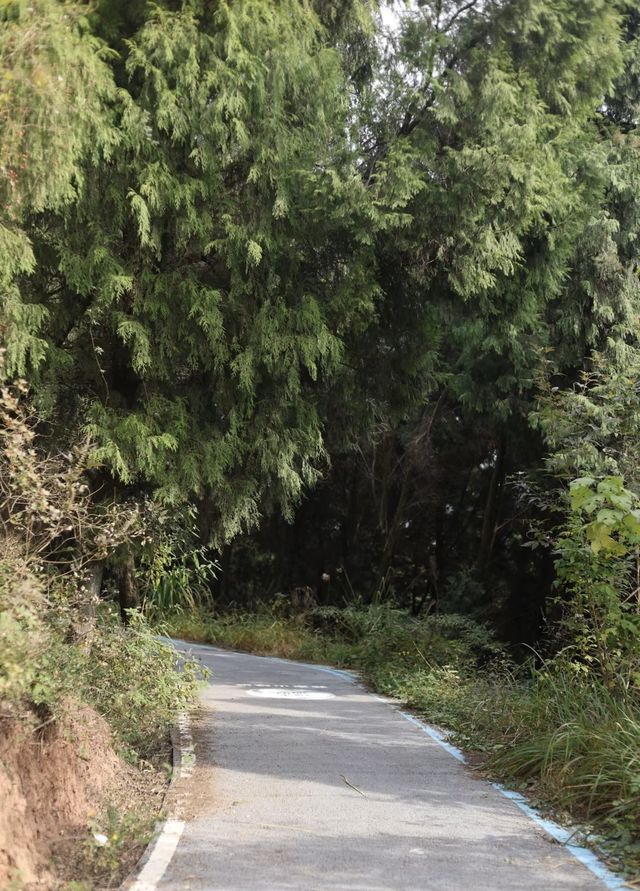 我推薦成都這條絕美的山頂觀景步道