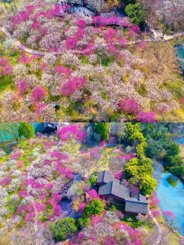 2월 여성 여행객을 위한 가장 안전한 7개 도시