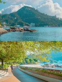 誰懂啊赤柱不愧是香港小南法,美哭我