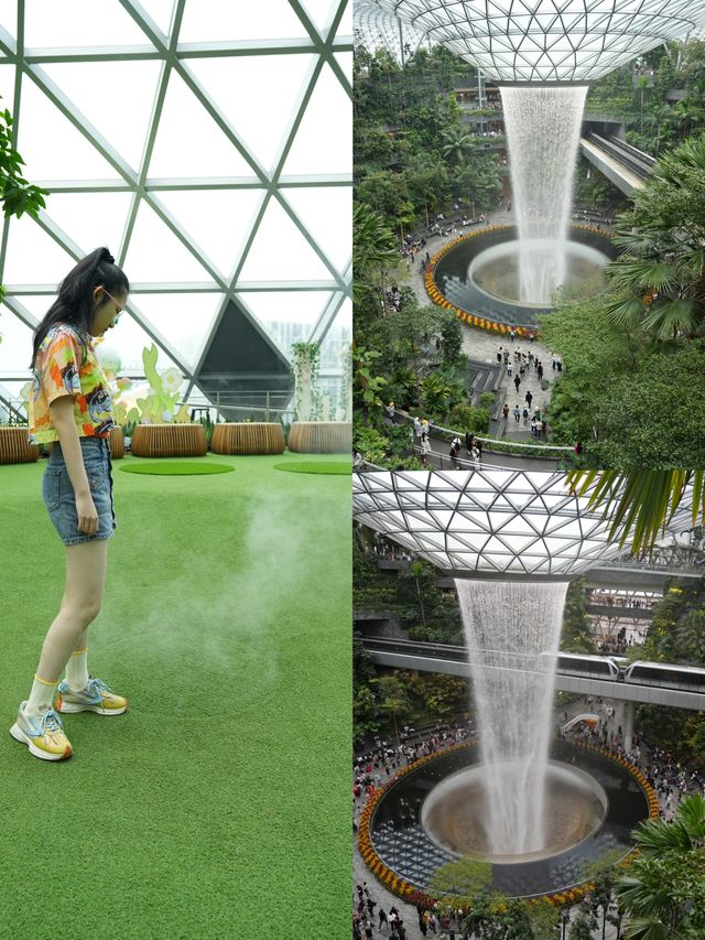 星耀樟宜攻略-帶娃打卡花少同款星空花園