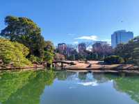 東京都特別名勝-六義園