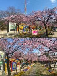 川口市：東京旁的隱秘逸境