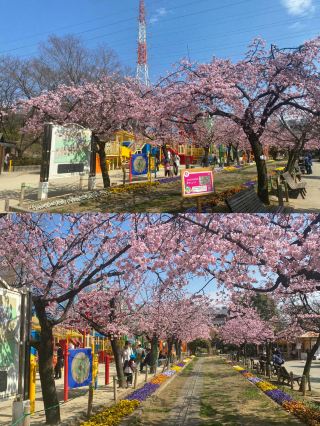 川口市：東京旁的隱秘逸境