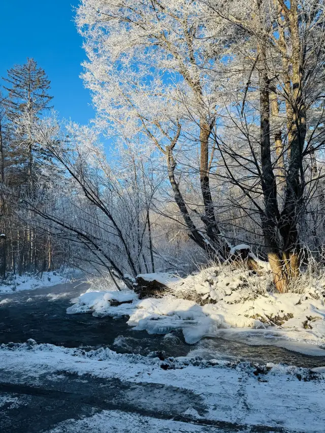 3-Day Yanbian Itinerary | Must-See Attractions