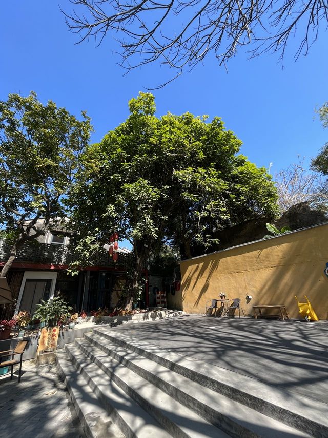 中山｜春節就嚟王維詩詞中桃源仙境啦～