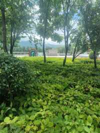 吉林白山江心島公園：城市中心的寧靜綠洲