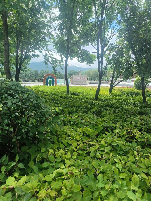 吉林白山江心島公園：城市中心的寧靜綠洲