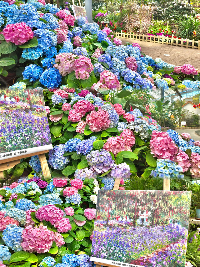 瀋陽植物園｜莫奈花園主題展走進畫裏