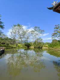 西雙版納植物園探秘 不踩雷攻略來啦