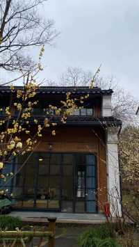 走進十里芳菲，尋一處有風小院