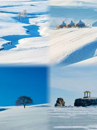呼倫貝爾旅遊已經回了不建議現在去，因為太美了