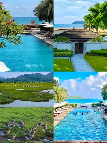 Here's my Wanning Island vacation guide!