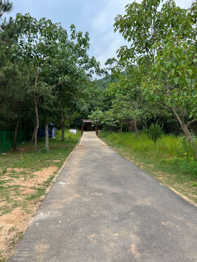 廬山古鎮神秘之旅 江西南昌-景德鎮等你來揭秘