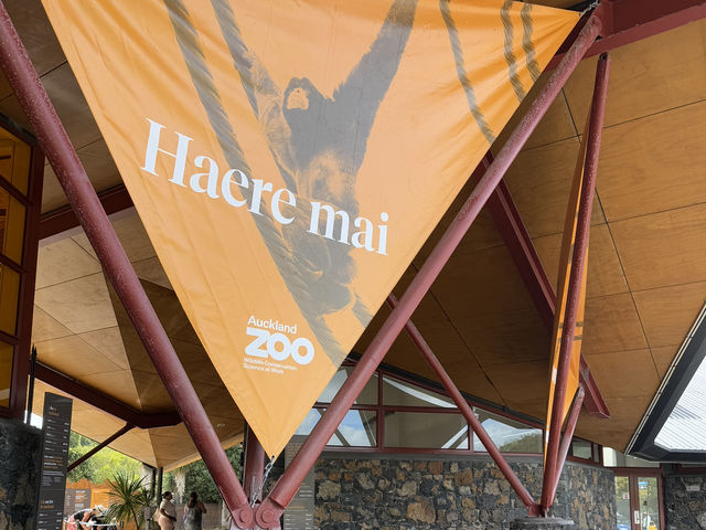 Auckland Zoo For Year Of the Snake, So Many Happy Animals!