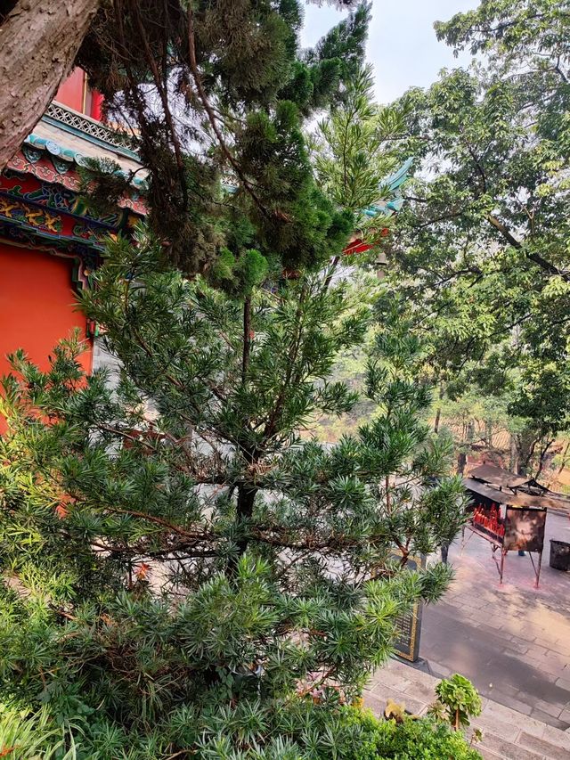 昆明盤龍寺旅遊攻略 | 穿越六百年的古剎秘境