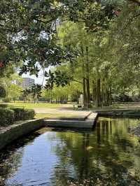 探索德島綠肺：中央公園，城市中的自然樂園！