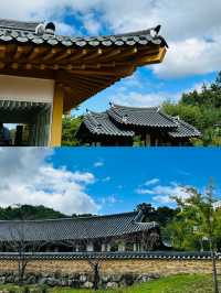安東市的介紹