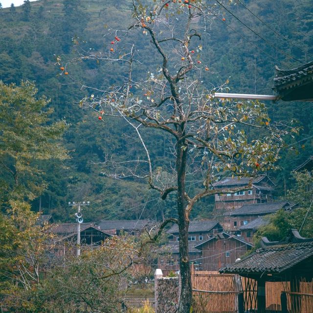 貴州的梯田，屬於最美的田地