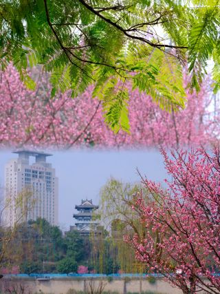 Sichuan has a seriously underrated small city, hiding endless surprises