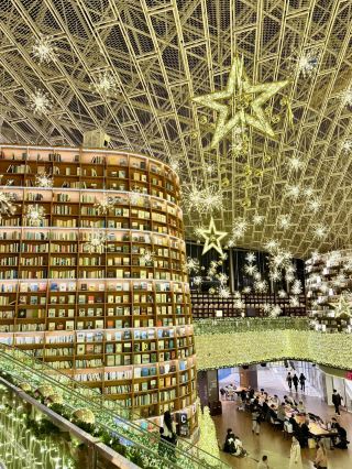 Under the Starry Sky: A Reading Dream