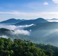 惠州羅浮山：悠然仙境之旅