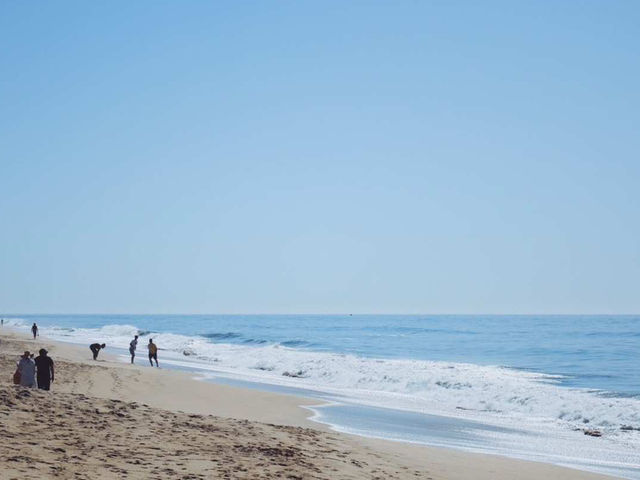 🌊 美國半月灣｜灣區隱藏版秘境攻略，超美海景+海鮮天堂🦀 