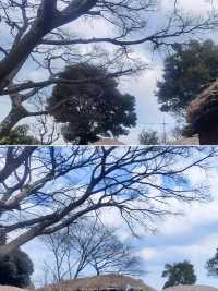 韓國莞島郡超全攻略！必看