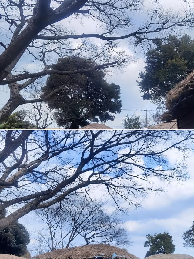 韓國莞島郡超全攻略！必看