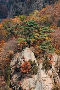 本溪關門山十月秋景