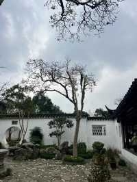 春日尋花漫步