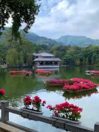 廣州白雲春日清新之旅
