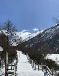 黃龍實況 乾了這瓶氧氣icon再說