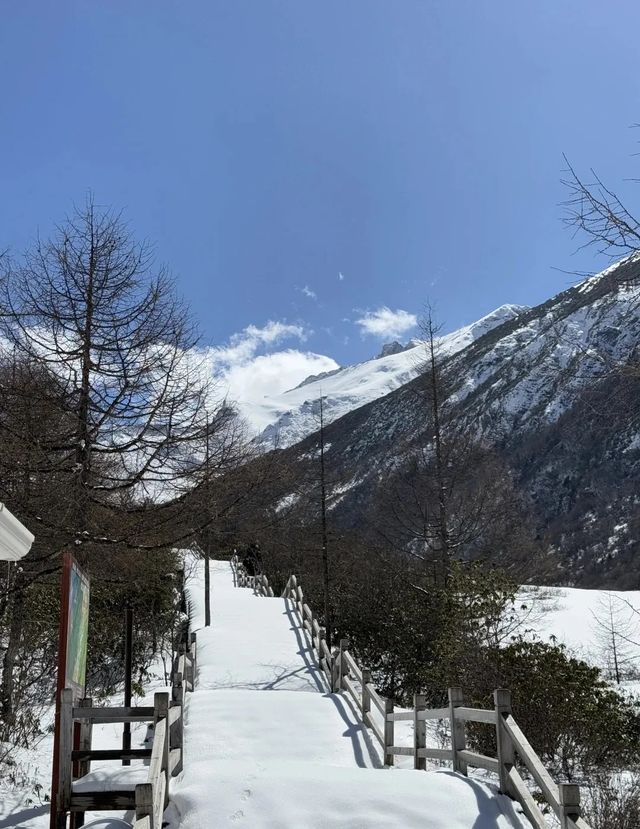 黃龍實況 乾了這瓶氧氣icon再說