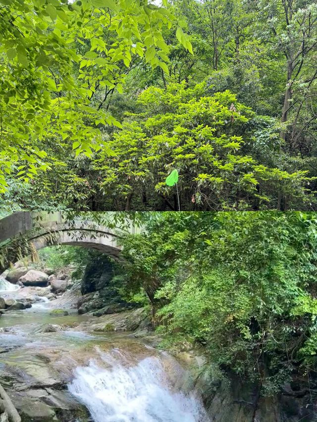 避暑還是要去山裡面喔