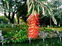 Romantic Spring in Charming Foshan: Public Parks as Shelters of Tranquility