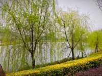 坐落在金沙江畔的公園