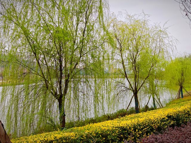 坐落在金沙江畔的公園