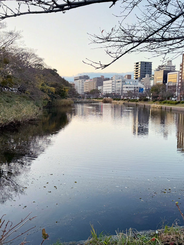 舞鶴公園福岡城一日遊｜時空之旅🚇⛲